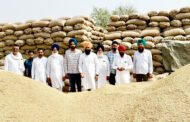 पंजाब के किसानों की दिन-रात की मेहनत और हजारों रुपए खर्च करके धान की फसल मंडियों में रूल रही है,बलजीत सिंह भुट्टा