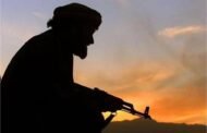 आतंकी कमांडर का हुआ Murder, Jammu Kashmir में कई आतंकी हमलों का था Mastermind